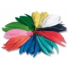 Plumes indiennes colorées - 100 grammes